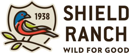 logo.gif